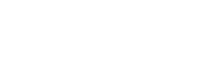 BSW Gruppe im Kreistag Rhein-Sieg